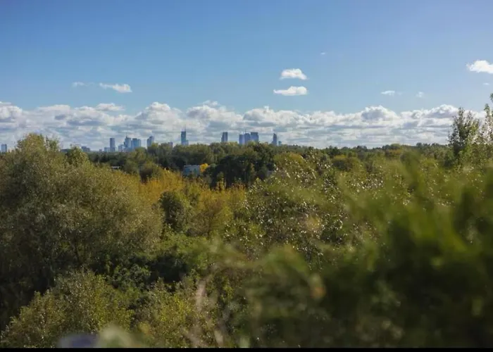 Shiraz Trio Lejlighed *