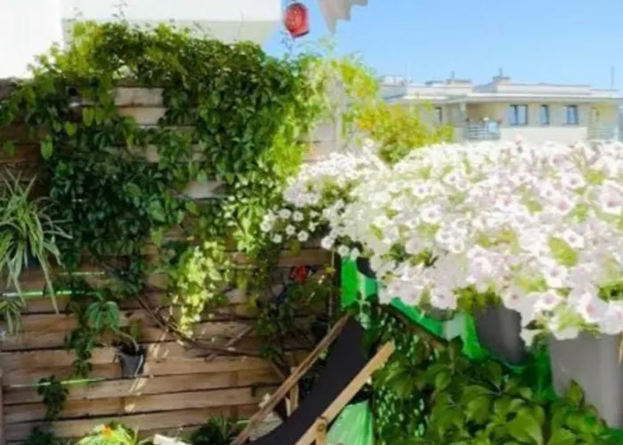 Shiraz Trio Warszawa