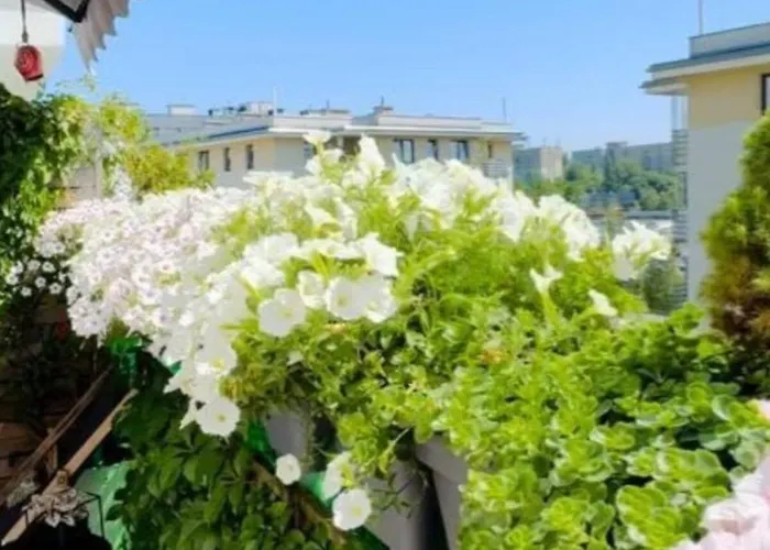 Shiraz Trio Lejlighed *