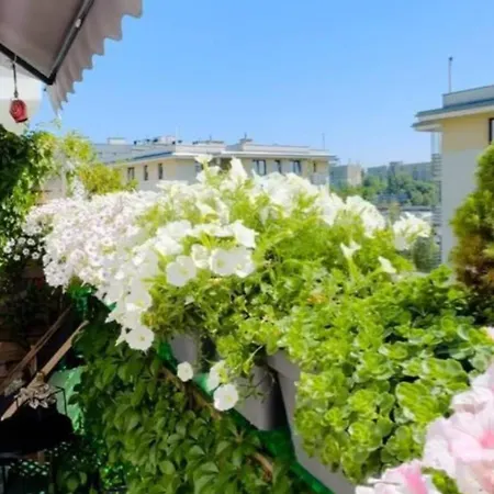 Shiraz Trio 아파트 *