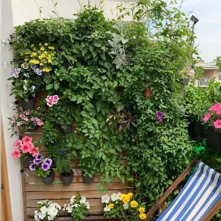 아파트 Shiraz Trio *